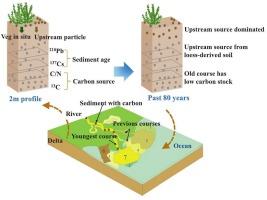 Low organic carbon storage of sediment due to frequent river course changes in Yellow River Delta