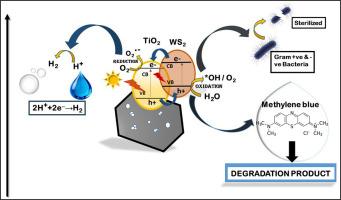 WS2-integrated TiO2/soot: A novel multifunctional nanocomposite for synergistic dye degradation, photocatalytic hydrogen evolution and antibacterial applications