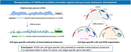 Reorganization of H3K9me2-modified chromatin regions during mouse embryonic development