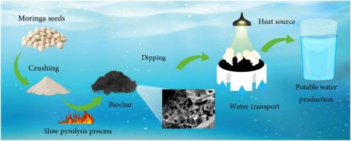 Pyrolyzed moringa seed-based photothermal absorber for enhanced solar interfacial evaporation