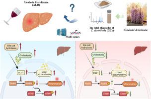 Multi-omics analysis reveals the mechanism of Cistanche deserticola against alcoholic liver disease via bile salt hydrolase and SCD1