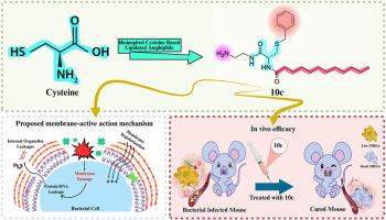 Discovery of lipidated cysteine-based amphiphiles as bioinspired antimicrobial peptidomimetics against drug-resistant bacteria