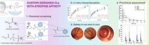 Contact lens-based atropine delivery systems for myopia management: design and in vitro-in vivo evaluation