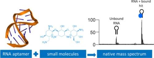 Small molecule screening of RNA aptamers using native mass spectrometry