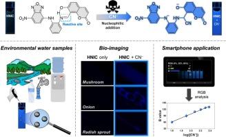 An easily accessible fluorometric probe for selective cyanide detection via nucleophilic addition: Applications to environmental water samples, smartphone, and bio-imaging of fungi and plants