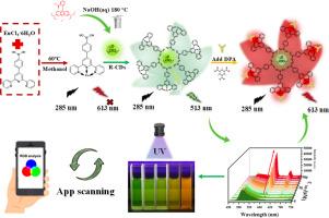 Terpyridine Eu(III) complexes combined with boric acid-functionalized carbon dots for on-site visual ratiometric fluorescence detection of anthrax spore biomarkers