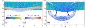 Interface coupling effects on Rayleigh–Taylor and Faraday instabilities in granular suspensions under oscillatory forcing