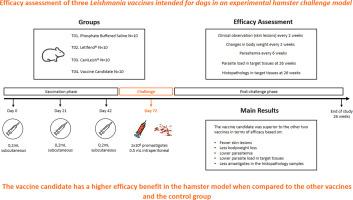 Efficacy assessment of a novel and two licensed Leishmania vaccines intended for dogs in an experimental hamster challenge model