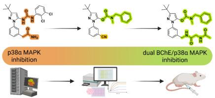 Transforming ureas into carbamates: From allosteric p38α MAPK ligands to dual BChE/p38α MAPK inhibitors