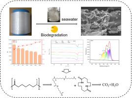 Microbial degradation behavior and mechanism of polyamide 6 fibers in seawater