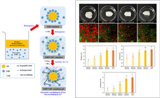 Effect of carboxymethyl cellulose on structural, physicochemical, and textural properties of faba bean protein/carboxymethyl cellulose emulsion gel as a plant-based ricotta cheese analog