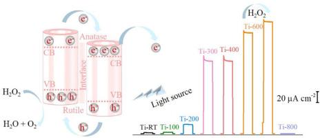 Fluorine-free anodized TiO2 nanotube arrays for photoelectrochemical H2O2 sensing: Role of anatase-rutile phase transformation