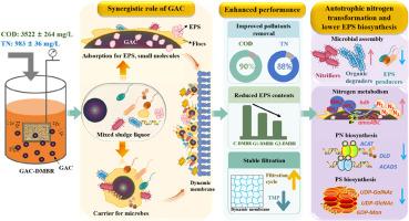 Enhancing operational stability and pollutants removal in dynamic membrane bioreactors via granular activated carbon for landfill leachate treatment