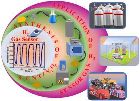 Hydrogen gas sensing enhancement with gamma-irradiated S-CNT/V2O5 thin film: A synergistic effect