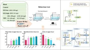 Effect of environmentally relevant concentrations of estrogens on the fear-like response of male zebrafish