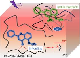 Photophysical properties of 5-methoxyflavone and its protonated species influenced by intermolecular hydrogen bonding and environmental rigidity
