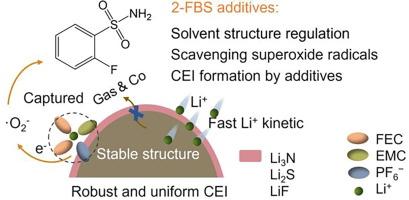 Solvation-interphase synergistic regulation empowering high-temperature and fast-charging lithium metal batteries
