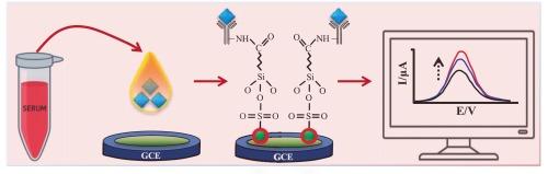 Nafion-stabilized silver nanoparticles modified glassy carbon electrode for ultrasensitive detection of alpha-1-acid glycoprotein