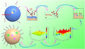 Citric acid as a green rejuvenator: mechanistic insights into the complete recovery of floatability for oxidized arsenopyrite