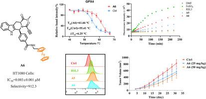 Structural optimization and biological evaluation of ferrocene-appended RSL3 derivatives as potent ferroptosis inducers