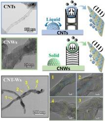Precision synthesis and growth kinetics of one-dimensional carbon nanostructures by Co-based catalysts