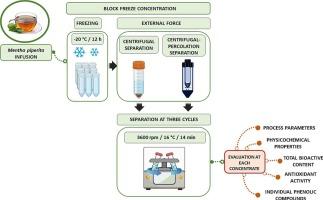 Exploring centrifugal-percolation as an innovative external force in block freeze concentration technology applied to peppermint infusion