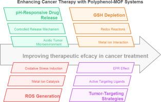 Polyphenol-functionalized metal-organic frameworks: A strategic platform for advanced cancer drug delivery and synergistic therapy