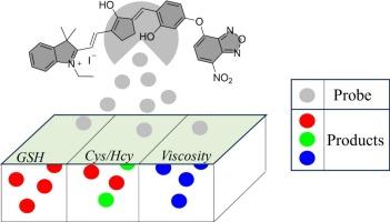 Dual-function fluorescent sensor enabling real-time tracking of cellular viscosity and biothiols levels