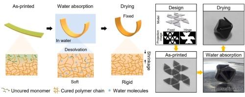 Water-Responsive hydroplastic 4D printing with programmable shape morphing and locking