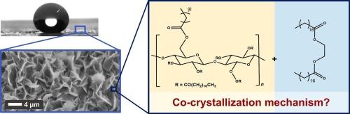 Tuning crystallization of thin coatings on paper: Impact of cellulose stearoyl ester on wax co-crystallization
