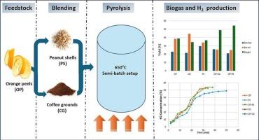 Sustainable energy recovery via co-pyrolysis of orange peels and agro-wastes: Generation of hydrogen-rich syngas, bio-oil, and biochar