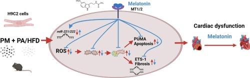 Melatonin attenuates high-fat diet- and particulate matter-induced cardiac injury: involvement of mitochondrial quality and miR-221/222 expression