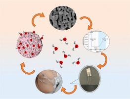 Flexible and multifunctional humidity sensor based on coral-like La2(WO4)3 for contactless healthcare monitoring