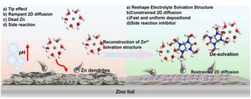 Dipole-induced built-in electric field manipulation for regulating Zn electrodeposition topology in high-performance aqueous Zn ion storage