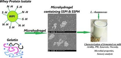 Fortification of fermented soy milk using whey protein isolate/gelatin microhydrogels-loaded with sesame bioactive peptides