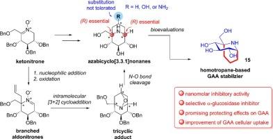 Design and synthesis of polyhydroxylated azabicyclo[3.3.1]nonane as selective lysosomal α-glucosidase stabilizers enhancing cellular uptake