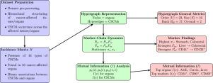 Unveiling cancer stem cell marker networks: A hypergraph approach