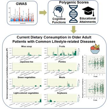 Influences of genetic factors for educational attainment and cognitive functions on current dietary consumption