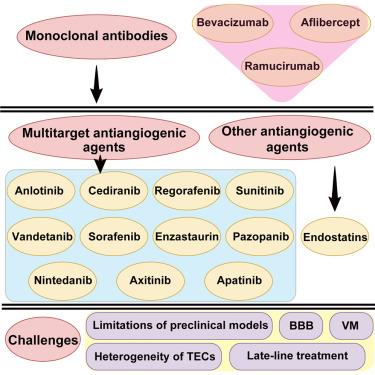 Current evidence and challenges of multitarget anti-angiogenic agents for glioblastoma: Results from clinical trials