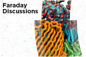 Highlights from the Faraday Discussion on Structural and Functional Asymmetry of Plasma Membranes, London, UK, April 2025