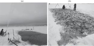 Strengthening of Ice Cover with a Composite Material Based on Fresh Ice and Basalt Fiber