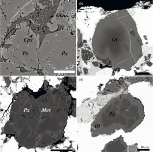 Metal-Rich Ungrouped Chondrite Northwest Africa 13202