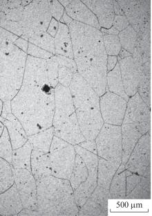 Preparation of a Rolled Thin Sheet from a Molybdenum Single Crystal while Maintaining a Single-Crystal Structure