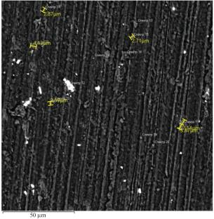 Application of Neutron-Absorbing Composites Based on Thermoplastic Elastomer and Boron Nitride in 3D Printing