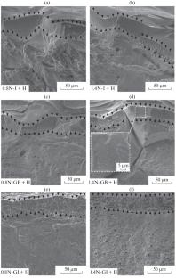 Influence of Microstructure and Phase Distribution on the Hydrogen Embrittlement of Multicomponent Alloys Fe20Mn20Cr20Ni20Co19.2N0.8 and Fe20Mn20Cr20Ni20Co18.6N1.4