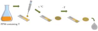 Determination of Antibiotics in Wastewaters Using Amperometric Sensors
