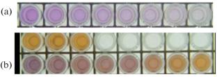 Evaluation of a Smartphone-Based Protein-to-Creatinine Ratio Assay for Detecting Kidney Disease Progression