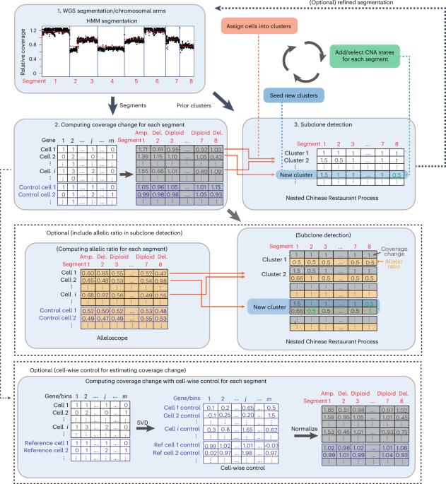 Cancer subclone detection based on DNA copy number in single-cell and spatial omic sequencing data