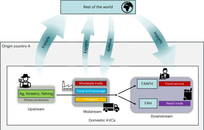 Agrifood value chain employment and compensation shift with structural transformation