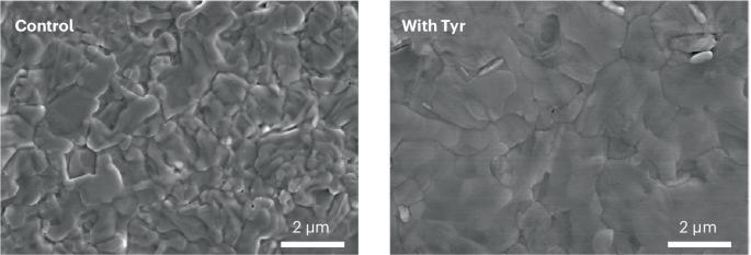 Efficient quasi-two-dimensional perovskite solar cells